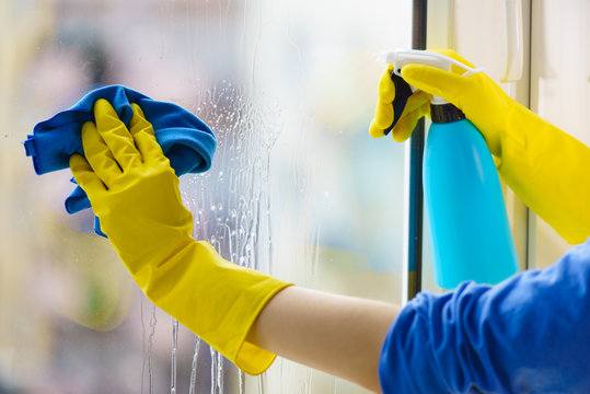 Professional Squeegee Window Cleaning